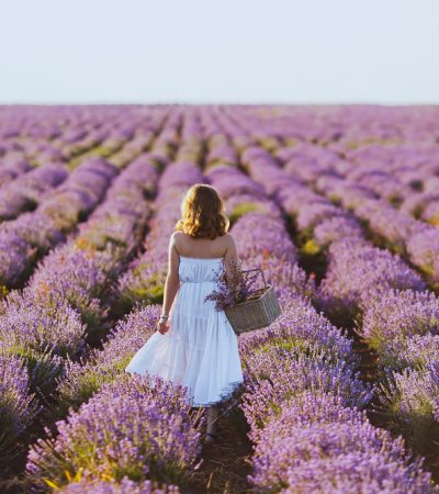 health-boosting flowers