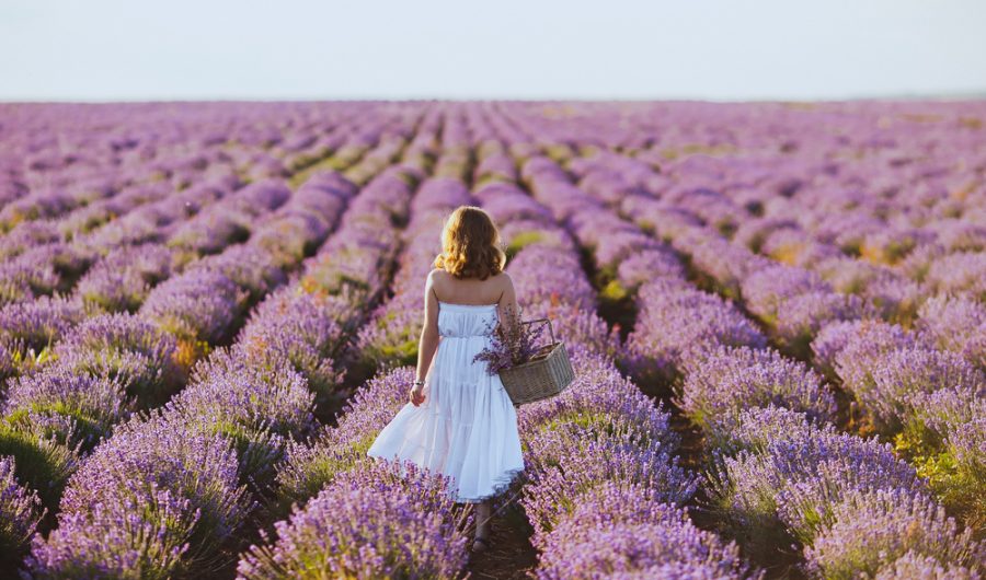 health-boosting flowers