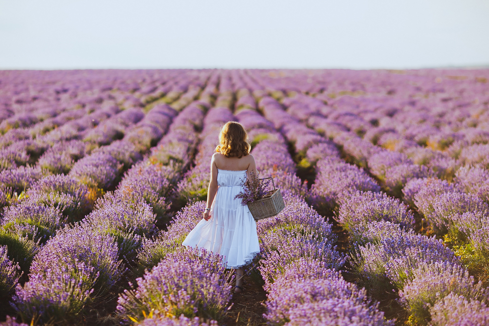 health-boosting flowers