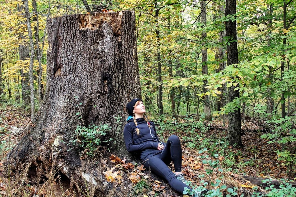 Forest Bathing