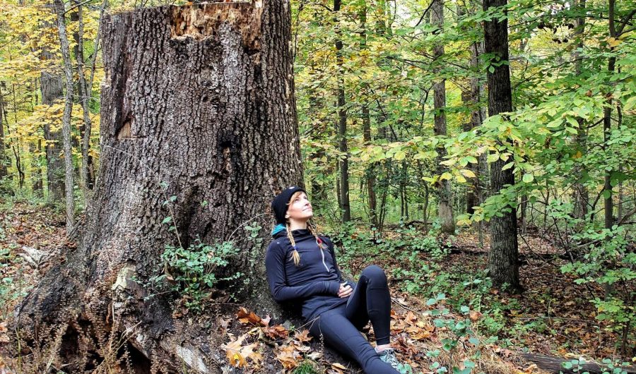 Forest Bathing
