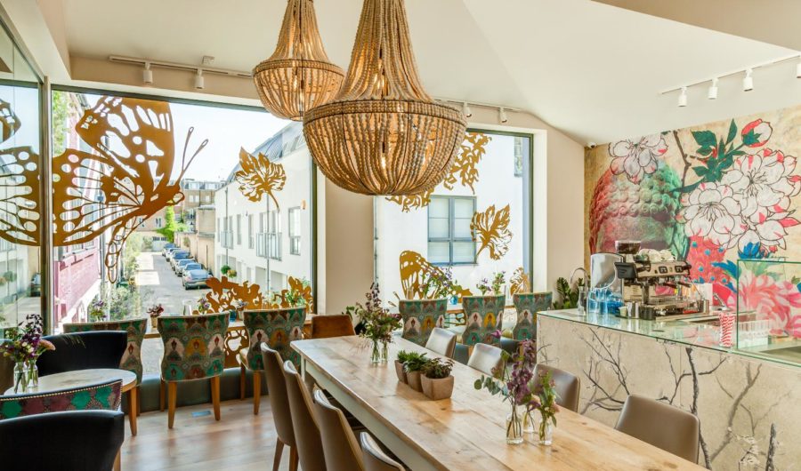 Cloud Twelve Launch Summer Detoxifying Programme