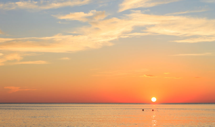 Could An Astrology Reading Help You Find Your Life's Purpose?