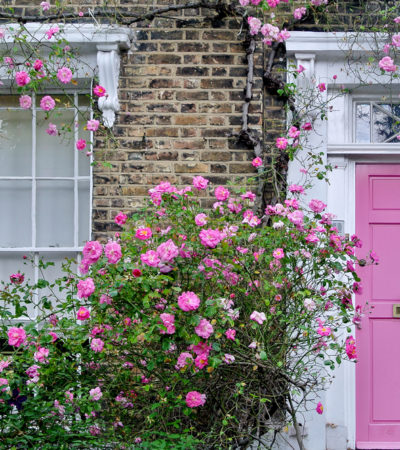 Moving house? 5 Buys To Make Your New Home Healthier