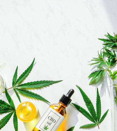 CBD for Beginners: An expert guide to CBD