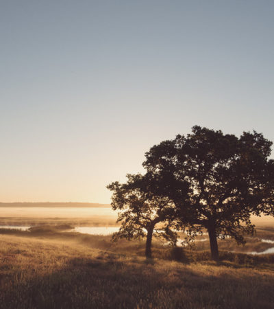 An Escape In Nature at Elmley Nature Reserve