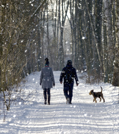 Should You Get A Pre-Christmas COVID-19 Test?