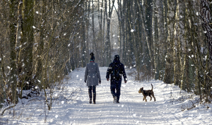 Should You Get A Pre-Christmas COVID-19 Test?