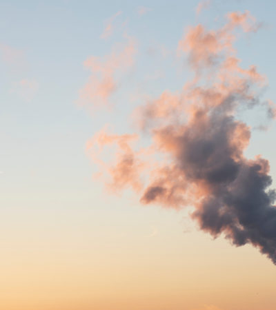 The Sustainable Documentaries To Watch If You Haven’t Already