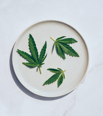 Hip & Healthy CBD Awards 2021