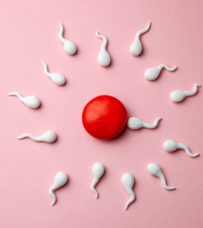 Your Fertility Questions Answered...