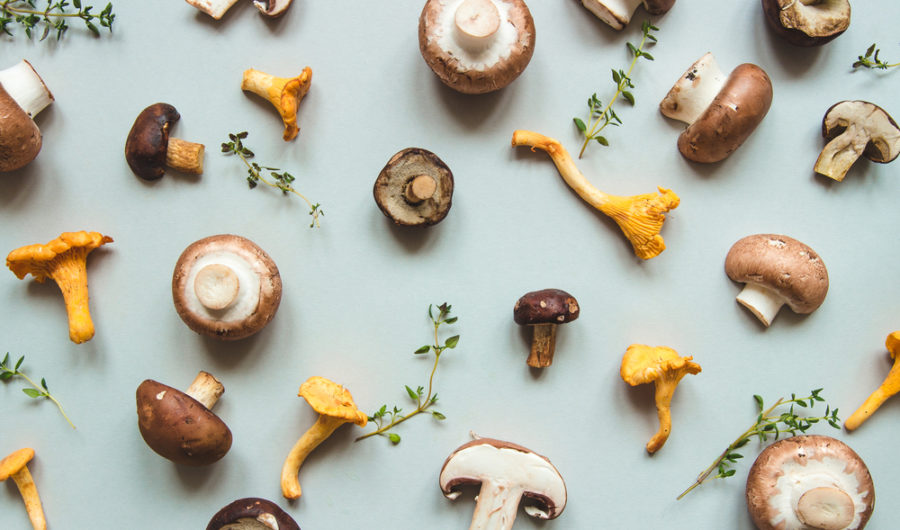 Should We Be Popping Mushrooms For A Better Night's Sleep?