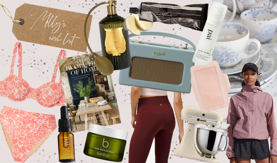 Molly's Christmas Wish List