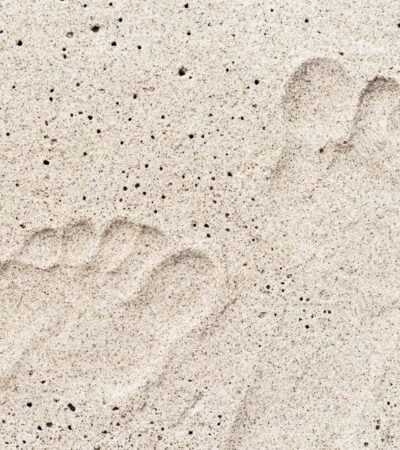 T'ai Chi The Next Big Thing In Wellness?