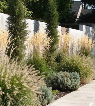 How Landscape Gardeners Shape Our Wellness Spaces