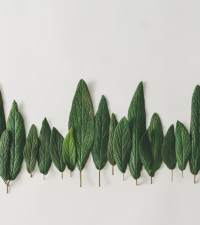 What Does It Mean To Be B-Corp