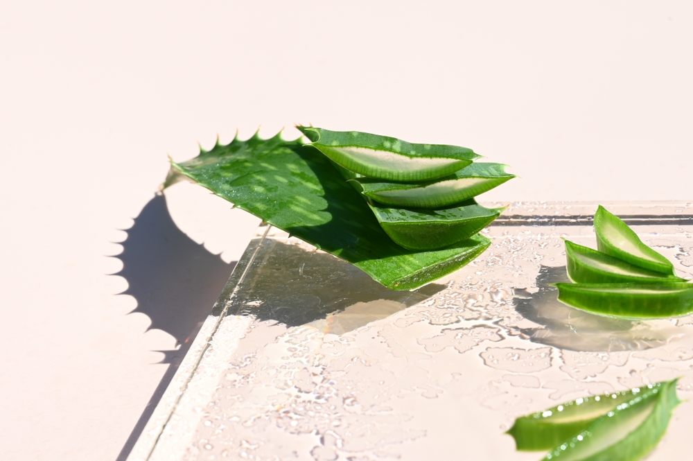 Why Aloe Is The Skincare Ingredient Of The Moment