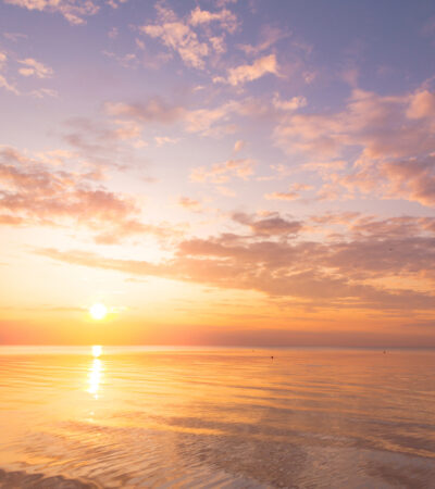 10 Wellness Habits To Adopt If You Suffer From SAD