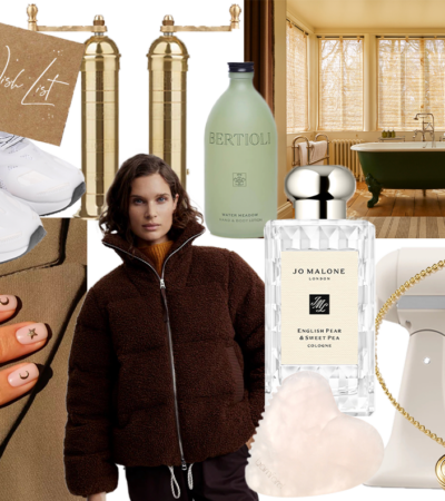 Molly Christmas Wish List