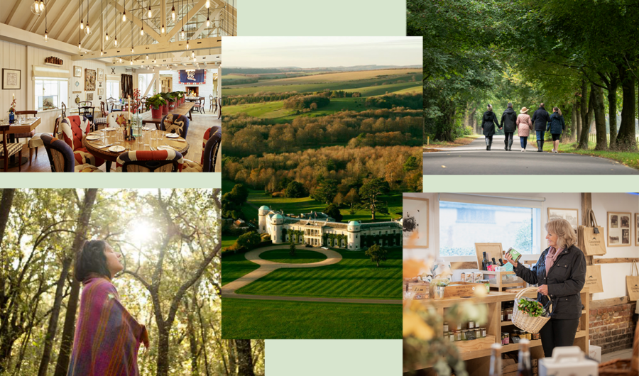 An Expert's Guide To Longevity