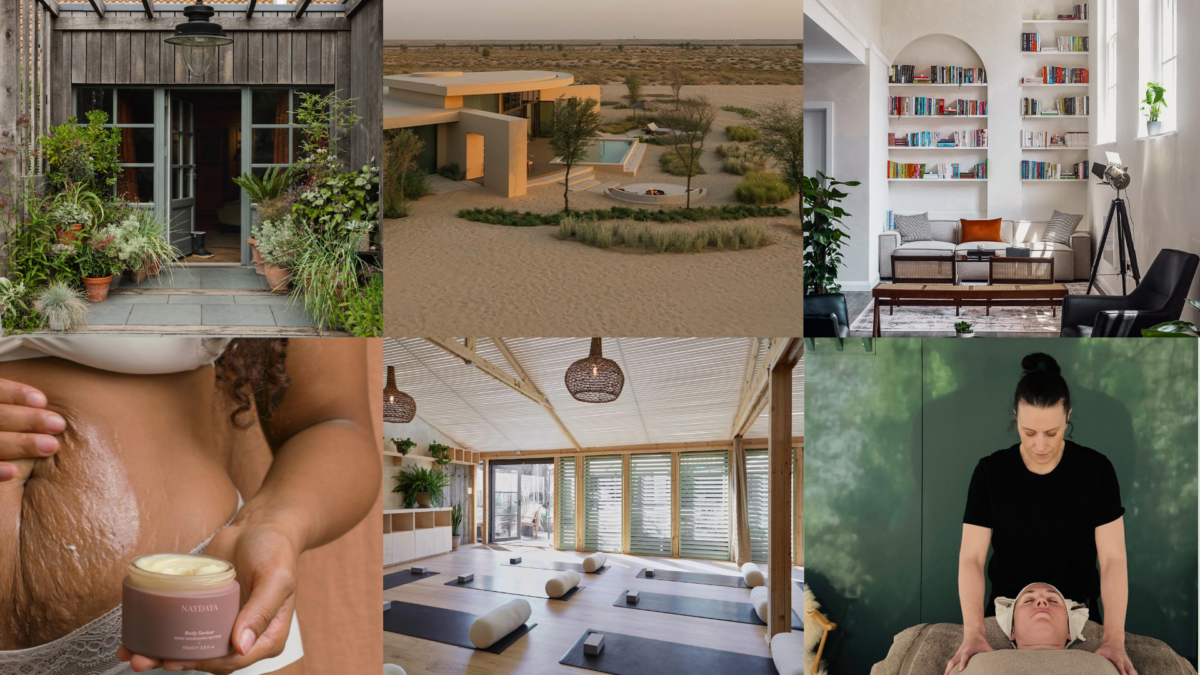 What's New In The World Of Wellness This November