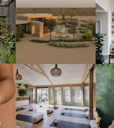 What's New In The World Of Wellness This November