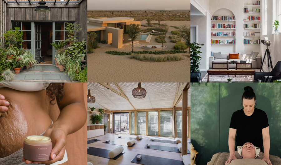 What's New In The World Of Wellness This November