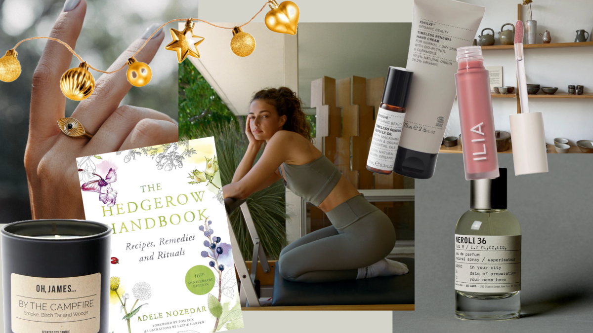 Teigan's Christmas Wish List