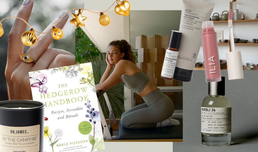 Teigan's Christmas Wish List