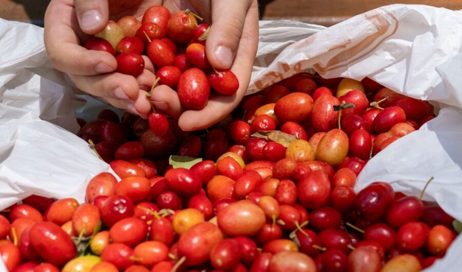 Is This The Superfood of 2025?