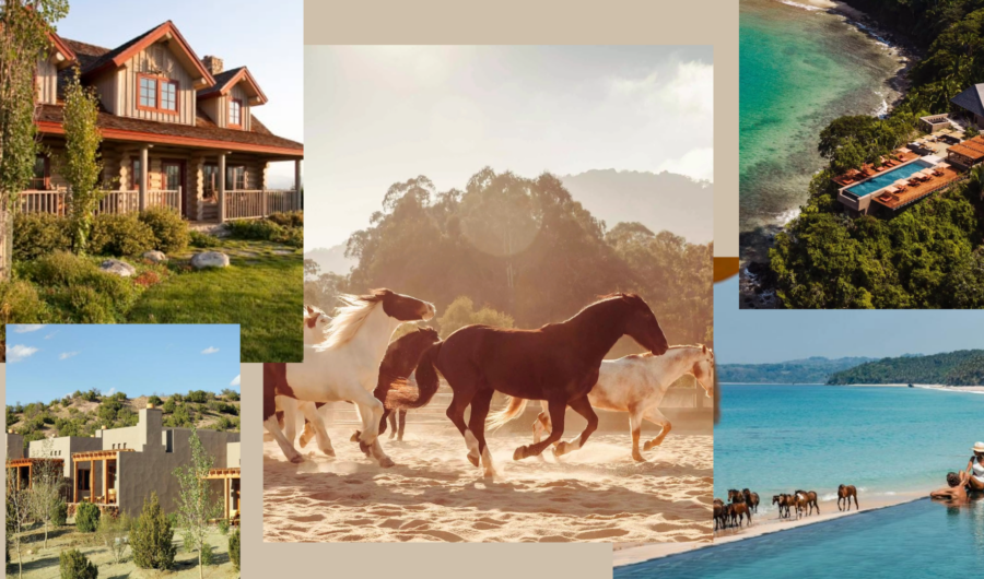 Cowboy-Core Travel Is Trending: The Best Horse Riding Holidays To Book