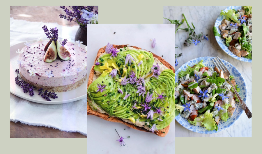 Floriculture Fever - 10 Surprising Edible Flowers For Sun-Soaked Suppers